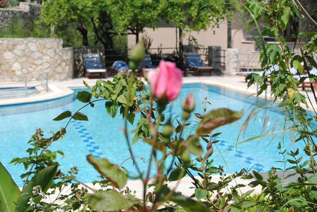 Kleo Cottages Kalkan Habitación foto